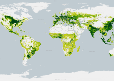 ESRI Story Map