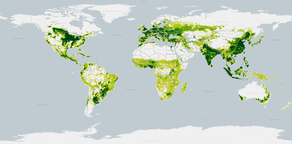 ESRI Story Map